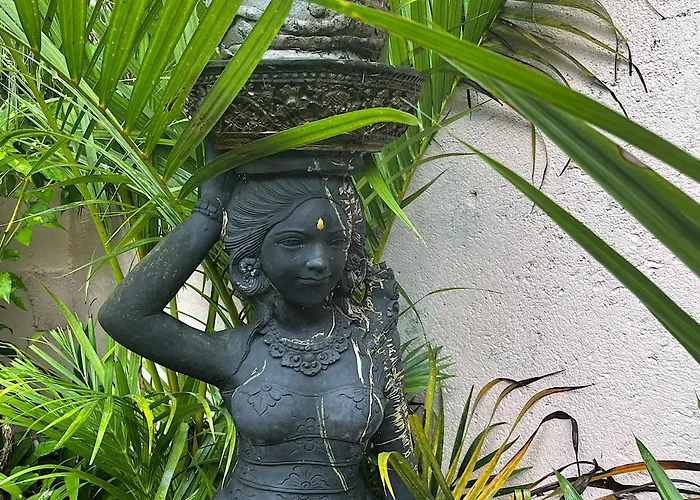 Casa Taru